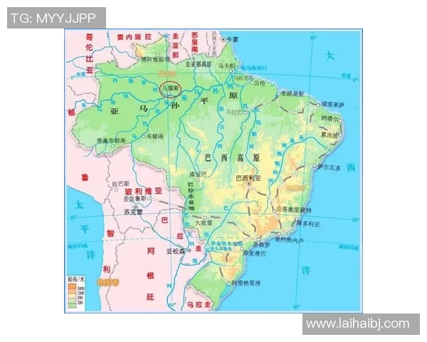 巴西在南美洲的控制位置：数据说话